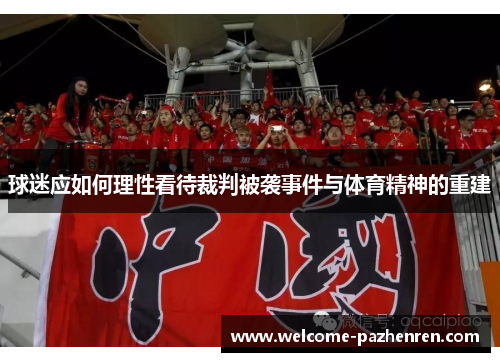 球迷应如何理性看待裁判被袭事件与体育精神的重建