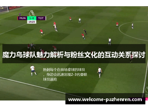 魔力鸟球队魅力解析与粉丝文化的互动关系探讨